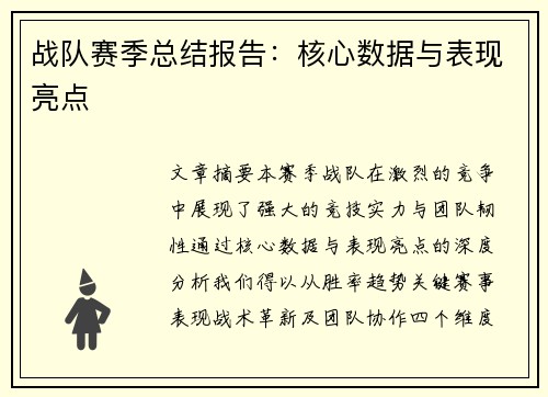 战队赛季总结报告：核心数据与表现亮点